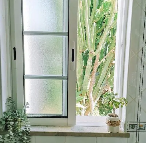 ヴィラ Green Ville