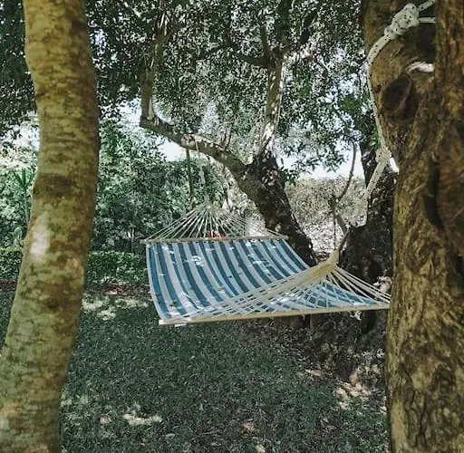 ヴィラ Green Ville