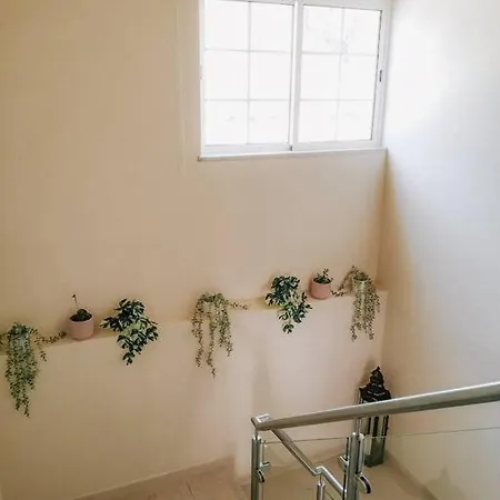 Villa Green Ville Faro